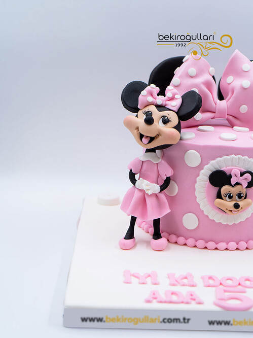 Çizgi Film Karakteri Pembe Kurdeleli Konsept Pasta