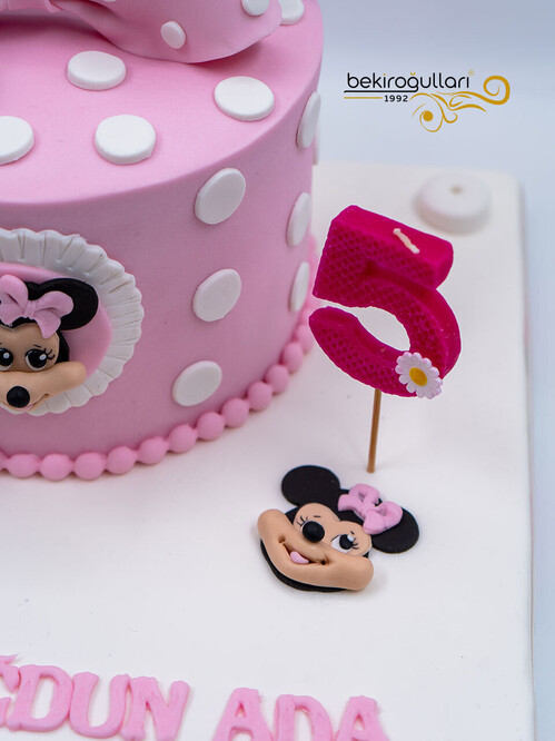 Çizgi Film Karakteri Pembe Kurdeleli Konsept Pasta