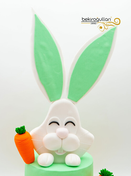 Diş Buğdayı Tavşan Konsept Pasta