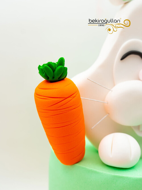 Diş Buğdayı Tavşan Konsept Pasta