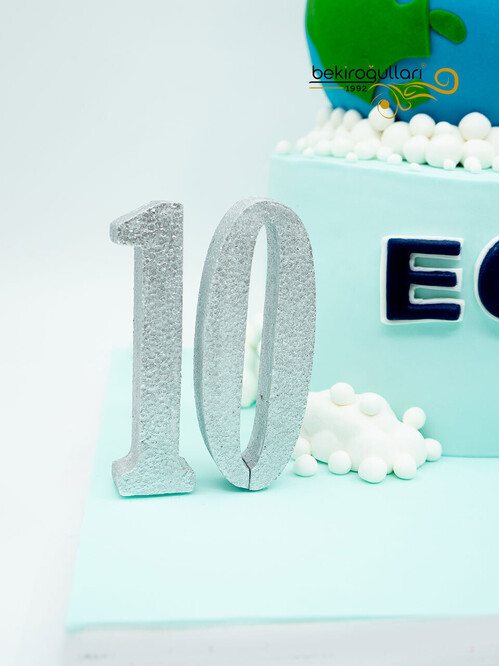 Dünya Temalı Butik Pasta