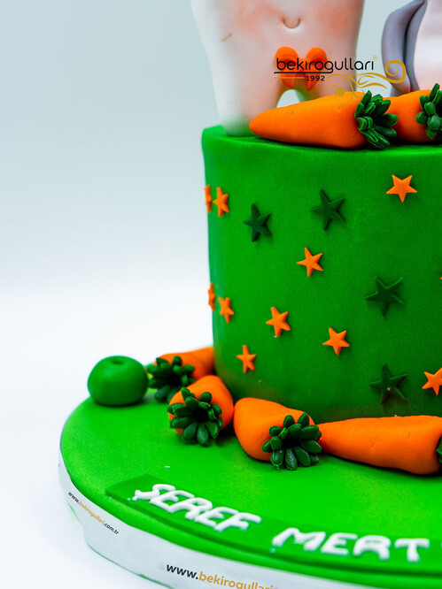 Havuç ve Tavşan Konseptli Pasta