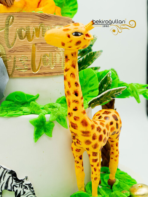 Hayvanlar Alemi Konsept Pasta