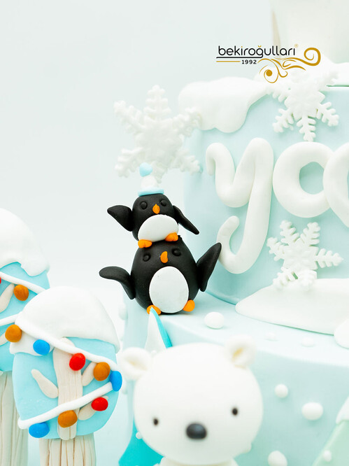 Kar Taneli Butik Pasta