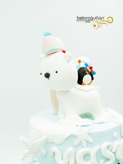 Kar Taneli Butik Pasta