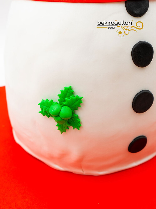 Kardan Adam Tasarım Pasta