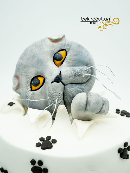 Kedi Detaylı Konsept Pasta