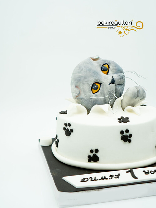 Kedi Detaylı Konsept Pasta