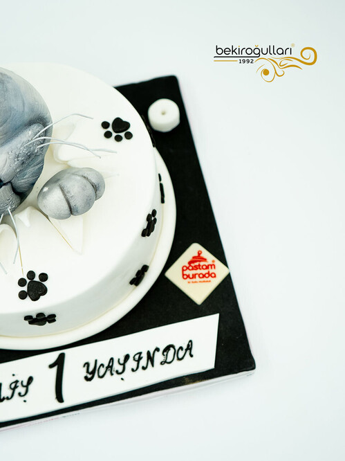 Kedi Detaylı Konsept Pasta