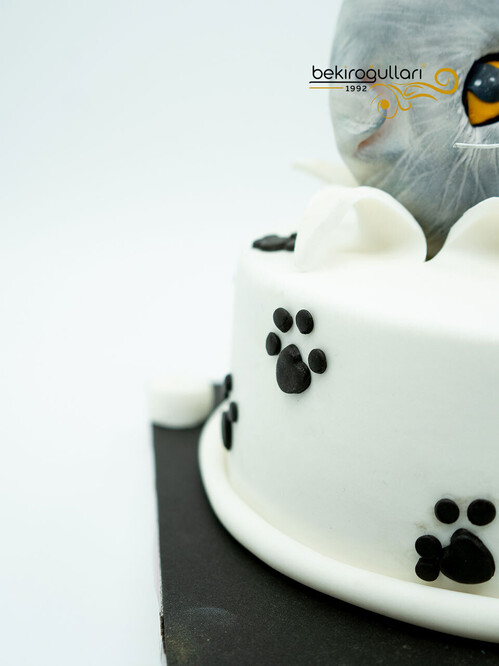 Kedi Detaylı Konsept Pasta