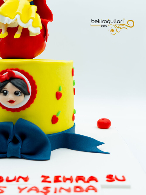 Kırmızı Başlıklı Kız Konsept Pasta