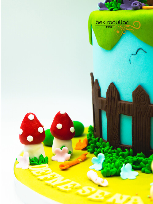 Küçük Kız Ayı Model Konsept Pasta