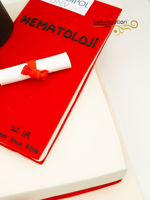 Mezuniyet Temalı Tasarım Pasta