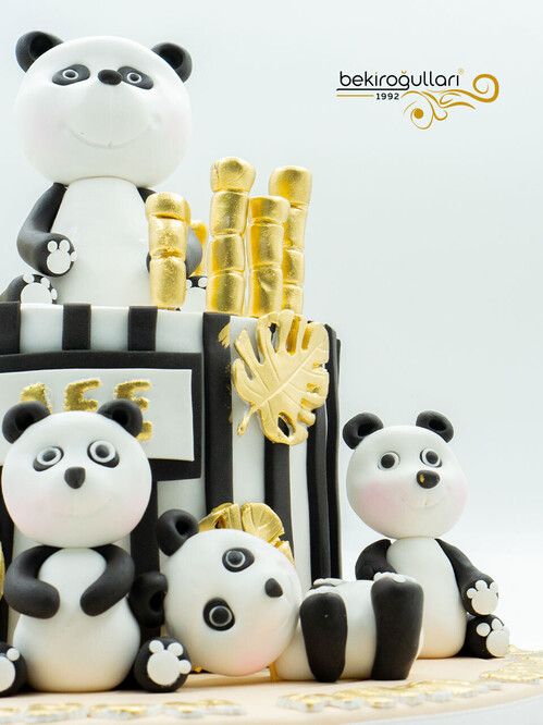 Panda Detay Konsept Pasta