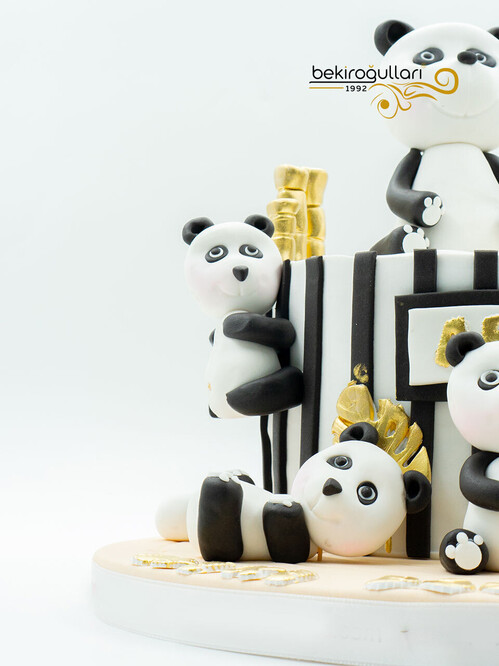 Panda Detay Konsept Pasta