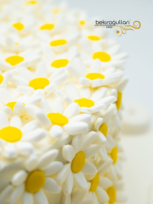 Papatya Konsept Pasta