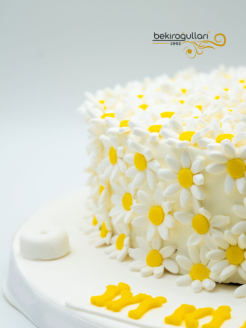 Papatya Konsept Pasta