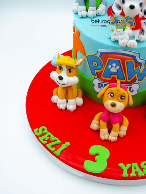 Paw Patrol Tasarım Pasta