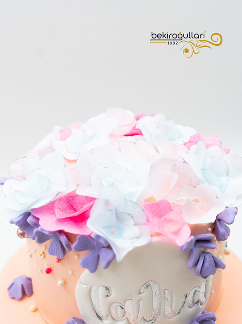 Soft Renkli Konsept Pasta