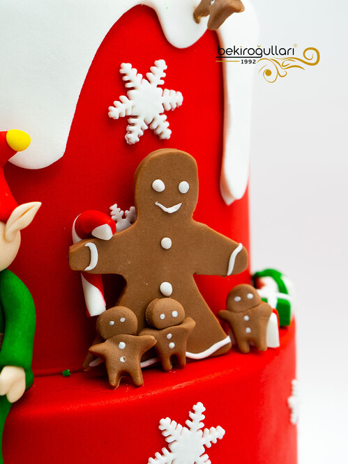 Yılbaşı Konsept Pasta