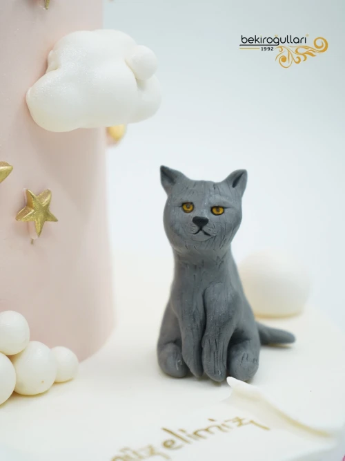 Anne Ve Baba Tasarım Butik Pasta