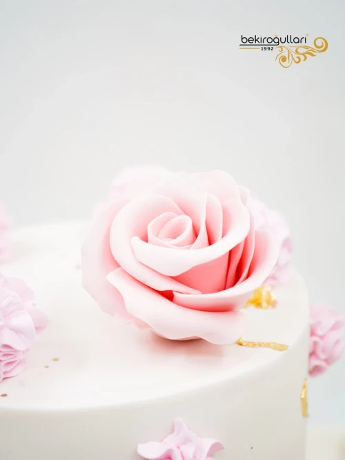 Aşçı Konsept Butik Pasta