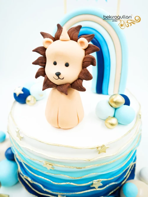 Aslan Tasarım Butik Pasta