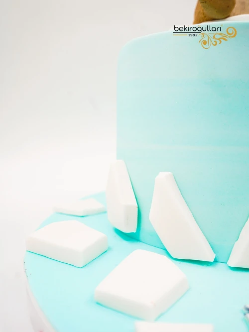 Buz Devri Tasarım Butik Pasta