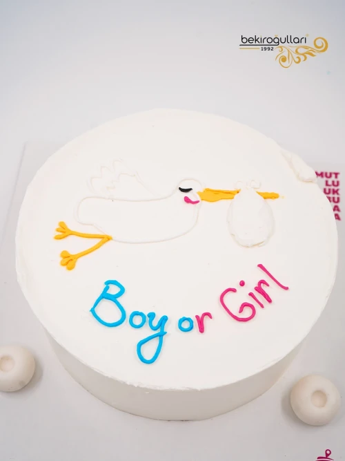 Cinsiyet Partisi Konsept Naked Pasta