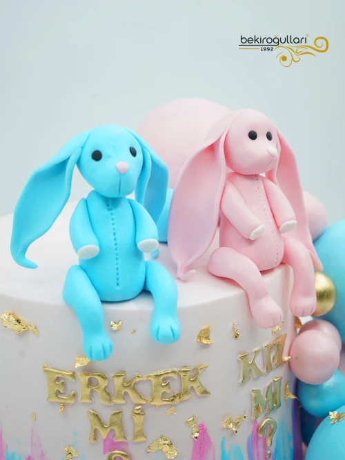 Cinsiyet Partisi Konsept Pasta