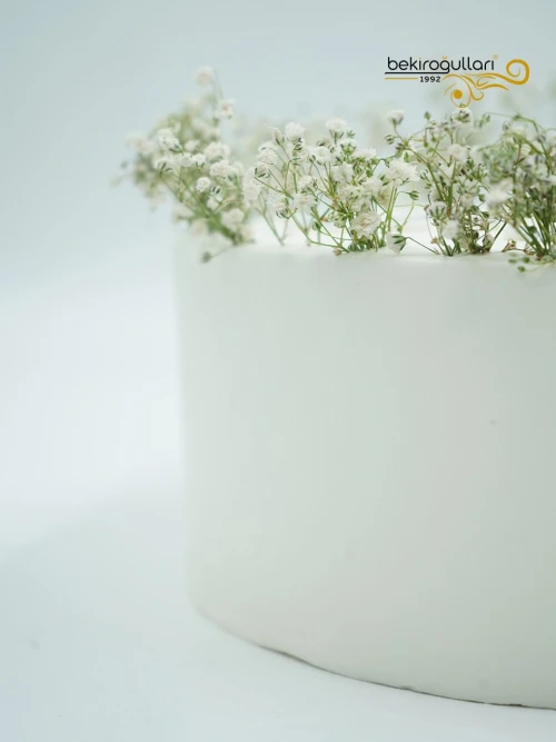 Cipso Süslemeli Naked Pasta