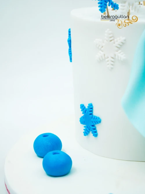 Elsa Konsept Butik Pasta