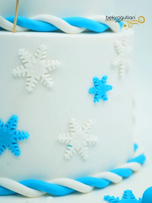 Elsa Konsept Şato Tasarım Pasta