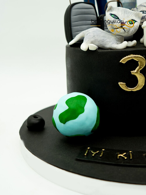 Erkek Figür ve Kedi Pasta