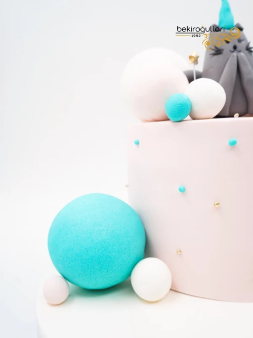 Kedi Detay Butik Pasta