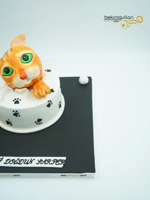 Kedi Detaylı Konsept Pasta