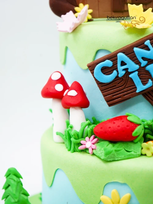 Maşa İle Koca Ayı Butik Pasta