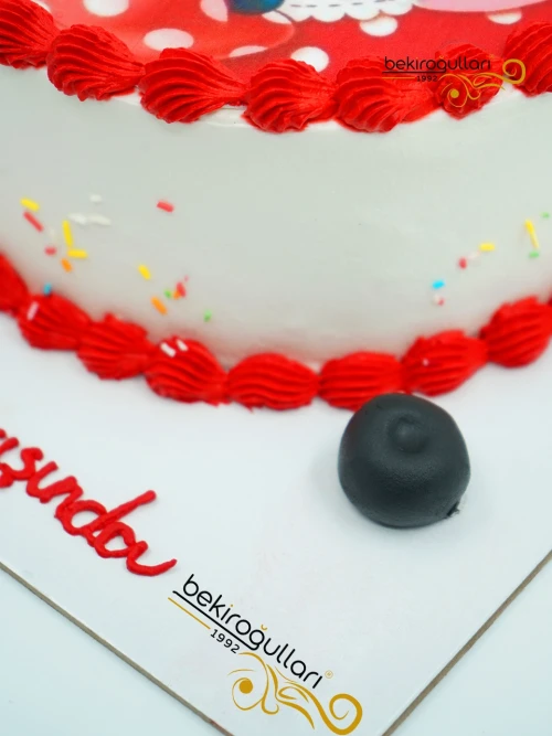 Minnie Mouse Resimli Pasta