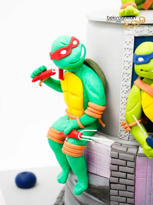 Ninja Kaplumabağalar Konsept Butik Pasa