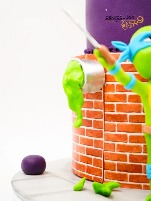 Ninja Kaplumbağalar Konsept Butik Pasta