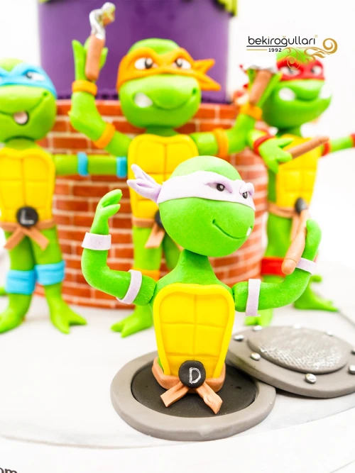 Ninja Kaplumbağalar Konsept Butik Pasta