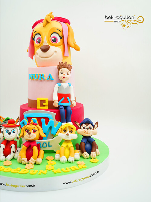 Paw Petrol Konsept Pasta