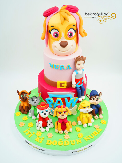 Paw Petrol Konsept Pasta