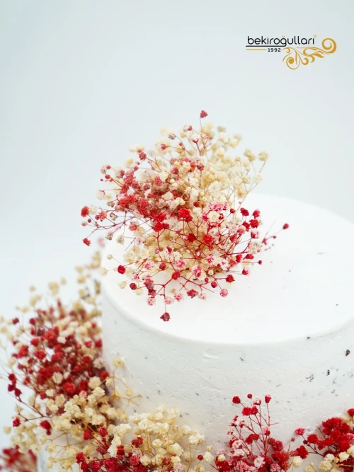 Renkli Cipso Detay Söz Pastası