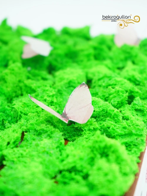 Strong Woman Butik Pasta