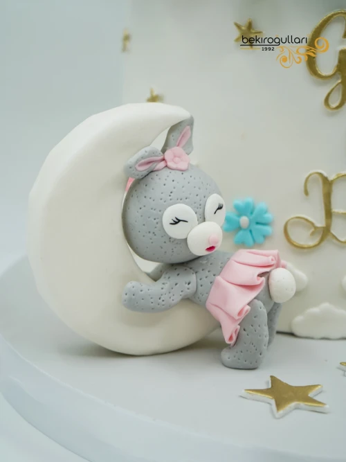 Tavşan Detay Cinsiyet Partisi Pastası
