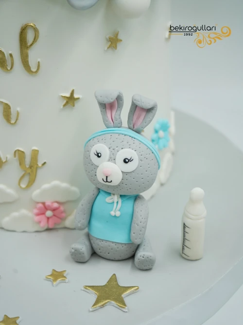 Tavşan Detay Cinsiyet Partisi Pastası