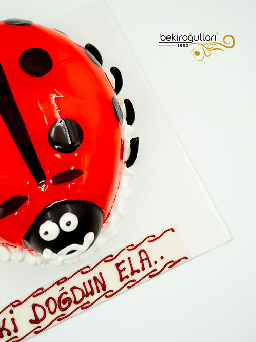 Uğur Böceği Pasta