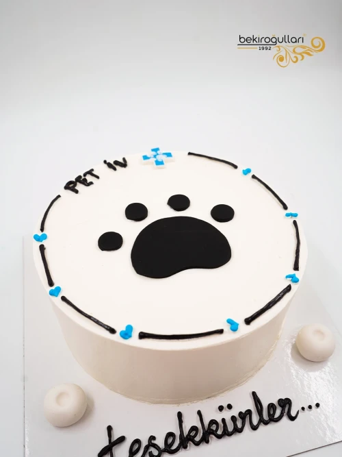 Veteriner Tasarım Naked Cake