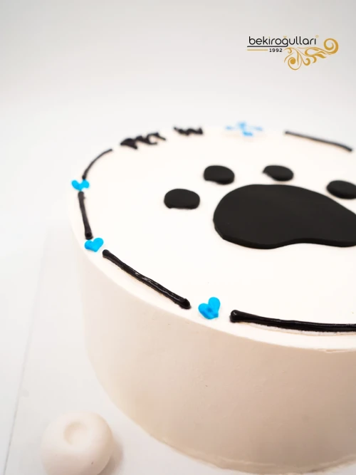 Veteriner Tasarım Naked Cake